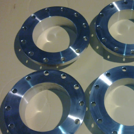 ASTM A182 SS Forged Ring ASTM A182 SS Forged Ring