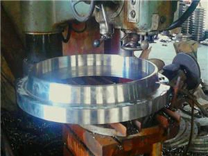 ASTM A182 F316 F316l F317 플랜지