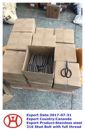 스테인레스 스틸 316 스터드 볼트 와 전체 스레드