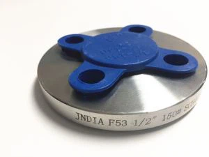 인코로이 825 플랜지